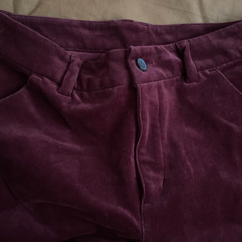 Duluth Trading Co Womens Corduroy High Rise Skinny Ankle Pants SZ 10 Regular - Picture 8 of 8
